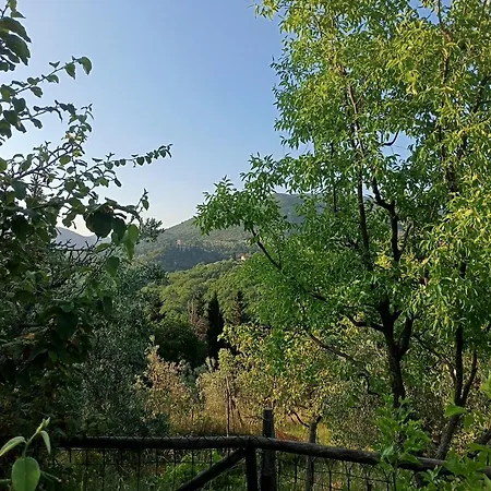 Penzion Al Poggio Ai Grilli *