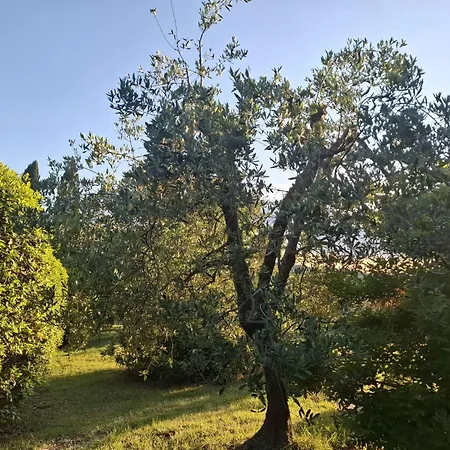 Al Poggio Ai Grilli Pensionat