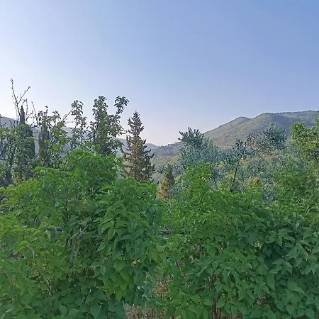 Al Poggio Ai Grilli Pensjonat Mugnana